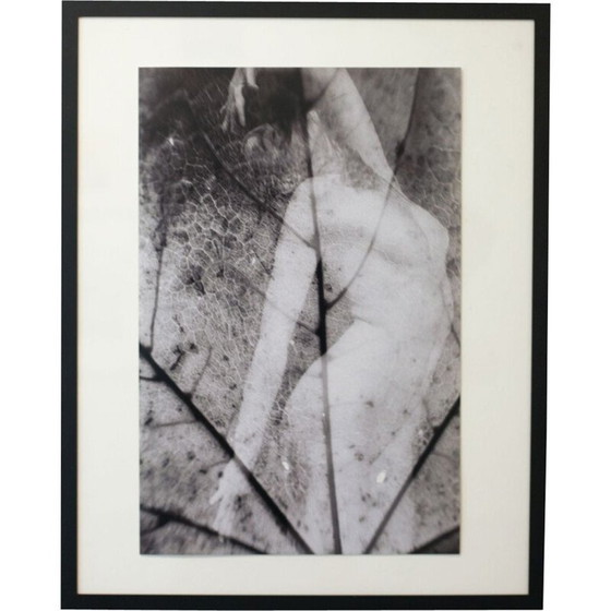 Image 1 of Tableau vintage Natural Movements 10 de Meïdhy Bichon, 2019