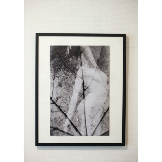 Image 1 of Tableau vintage Natural Movements 10 de Meïdhy Bichon, 2019