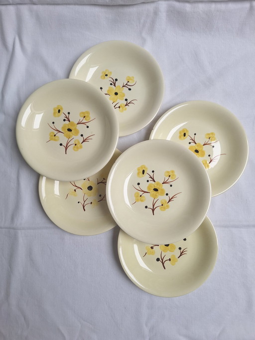 Assiettes Creuse Salins Vintage