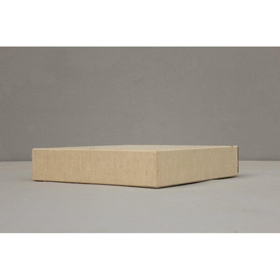 Image 1 of Boîte de rangement vintage en résine pour disques vinyles, Allemagne 1960