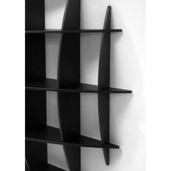 Image 1 of Bibliothèque Vintage Tyco par Manfredo Massironi pour Nikol International, 1970