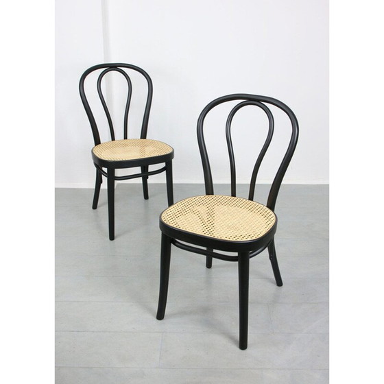 Image 1 of Paire de chaises noires vintage de Michael Thonet