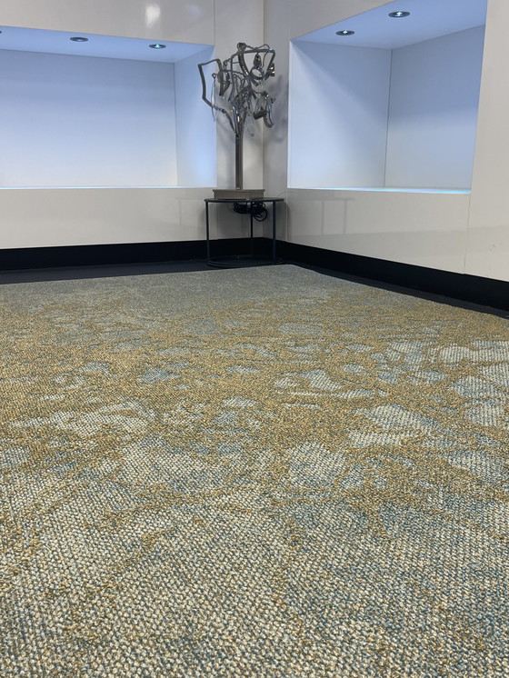 Image 1 of Desso Precious Moments Tapis 2 X 3 Nouveau