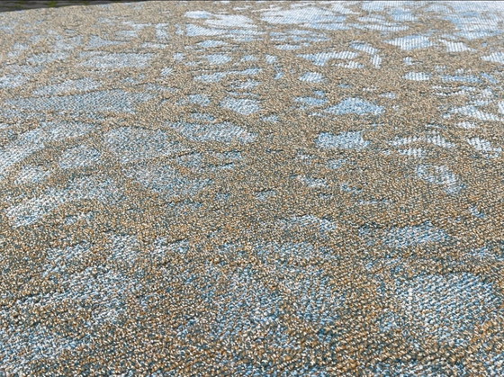 Image 1 of Desso Precious Moments Tapis 2 X 3 Nouveau