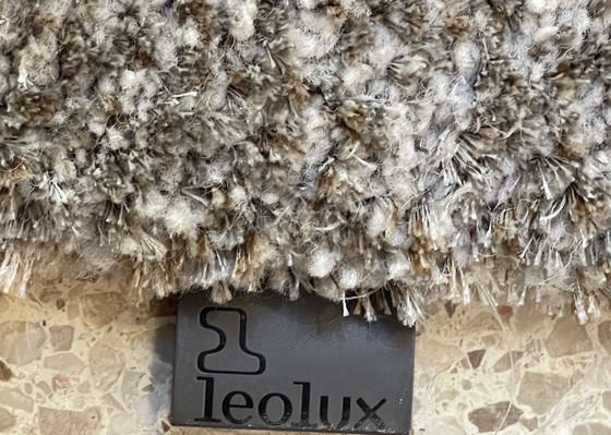 Image 1 of Leolux Amund Carpet Seal 240 X 340