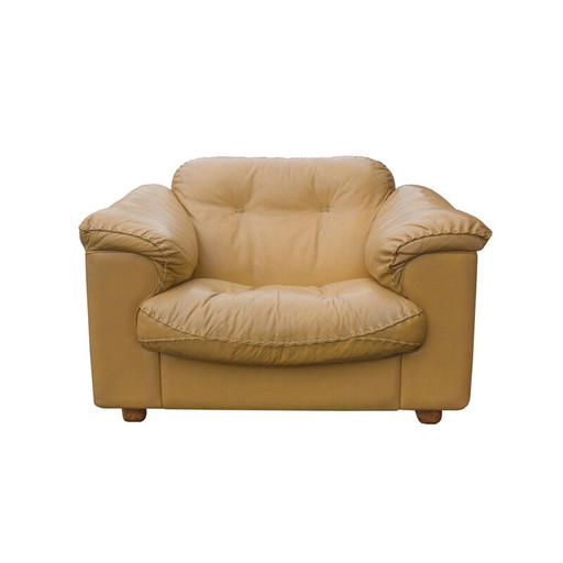 Fauteuil vintage en cuir De Sede Suisse 1960s
