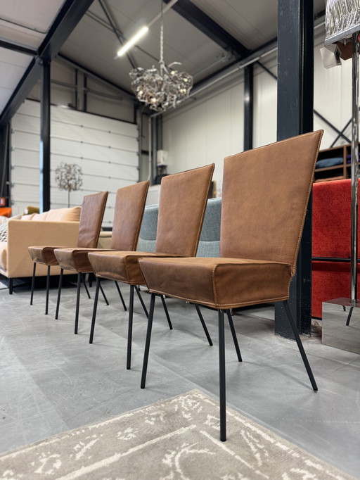 Chaises Orea Vandenberg 4 Label en cuir brun Yak