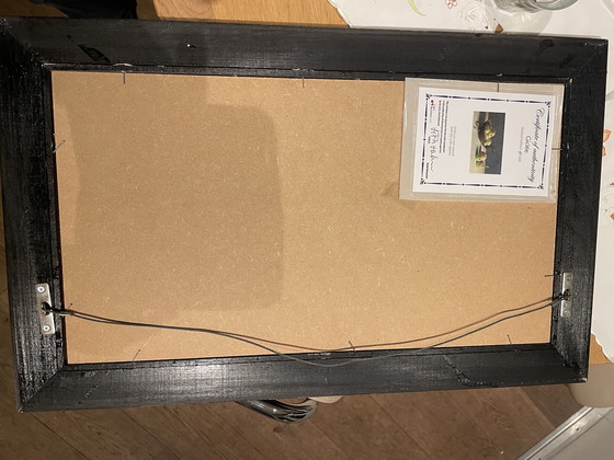 Image 1 of Henk Helmantel, Giclée pommes