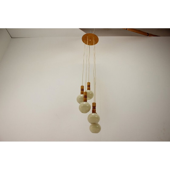 Image 1 of Lampe suspendue vintage en bois et plastique, Tchécoslovaquie 1970