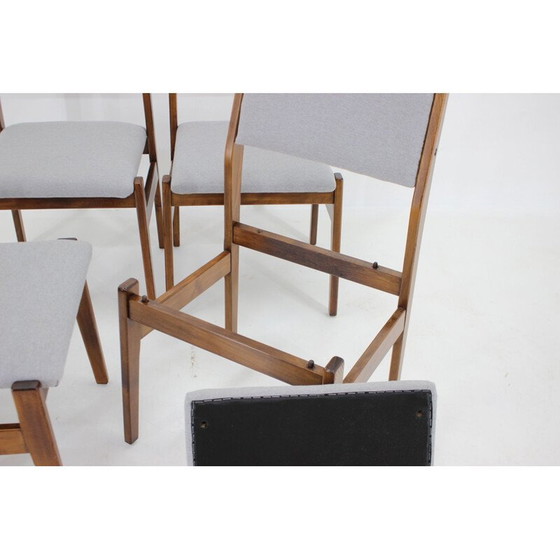 Image 1 of Ensemble de 4 chaises vintage en bois de hêtre avec rembourrage, Tchécoslovaquie 1960