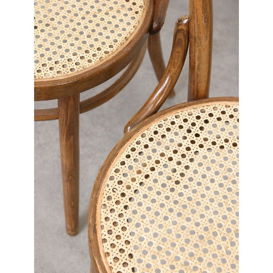 Image 1 of Chaises vintage n°18 de Michael Thonet