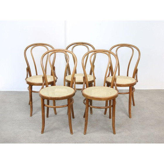 Image 1 of Chaises vintage n°18 de Michael Thonet