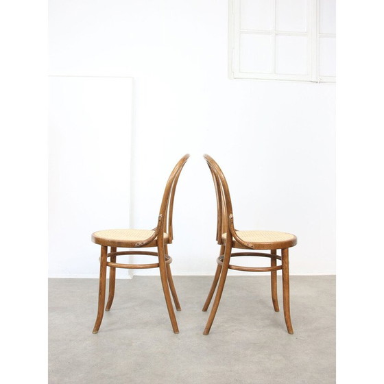 Image 1 of Chaises vintage n°18 de Michael Thonet