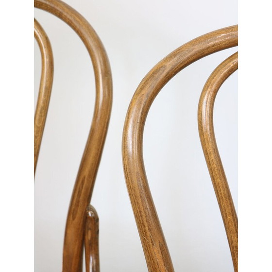Image 1 of Chaises vintage n°18 de Michael Thonet