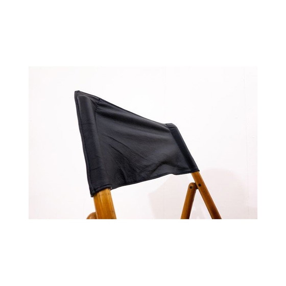 Image 1 of Paire de chaises pliantes vintage par Sergio Asti pour Zanotta, Italie 1969