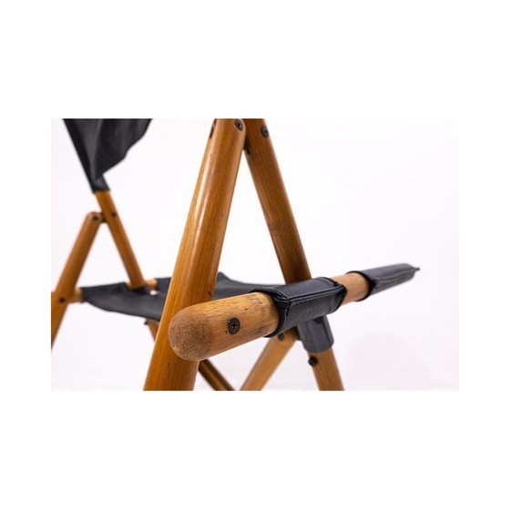 Image 1 of Paire de chaises pliantes vintage par Sergio Asti pour Zanotta, Italie 1969