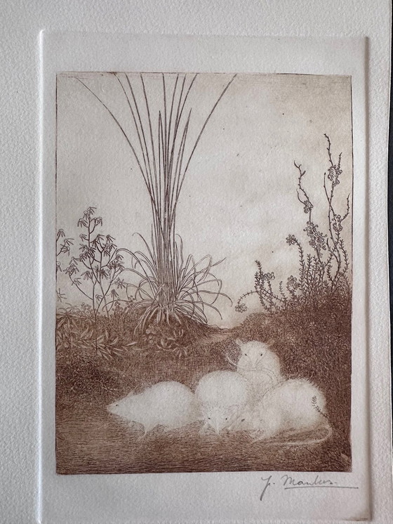 Image 1 of Jan Mankes 4 Mice Etching 1918