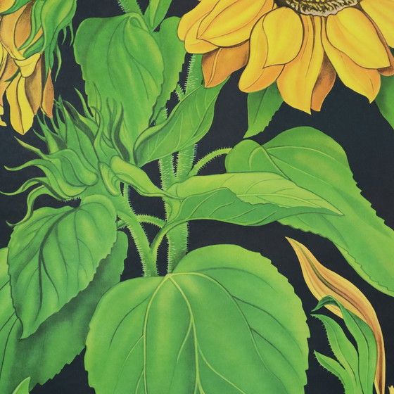 Image 1 of Carte scolaire vintage Tournesol