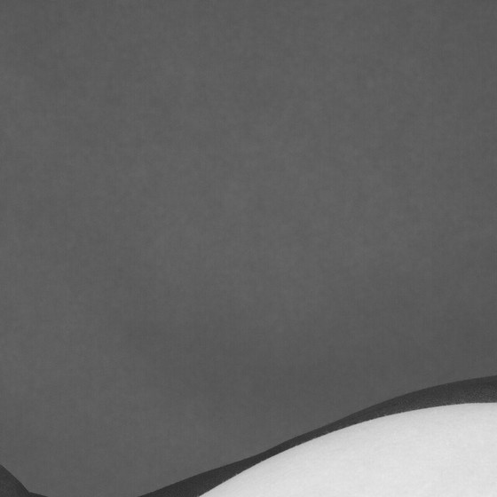 Image 1 of Photographie vintage "noir et blanc" de Franck Leclerc