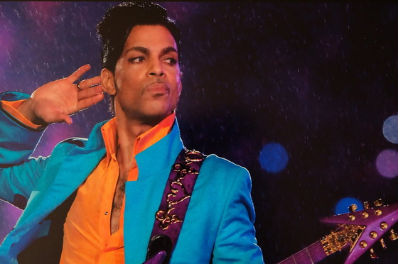 Image 1 of Prince | Photo