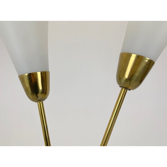 Image 1 of Lampadaire Art déco du milieu du siècle en laiton patiné et verre opalin, années 1930.