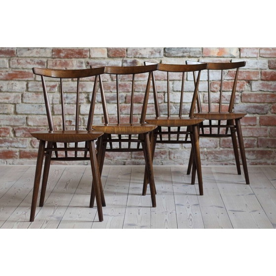 Image 1 of Ensemble de 4 chaises vintage en bois de hêtre par Tatra Nabytok, 1960