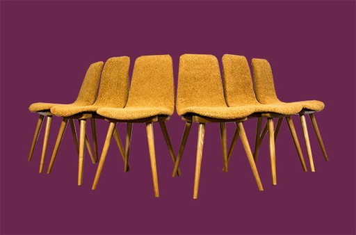 Ensemble de 6 chaises, A-6150 par Fameg, Pologne, 1960's