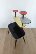 Table à plantes multicolore des années 50