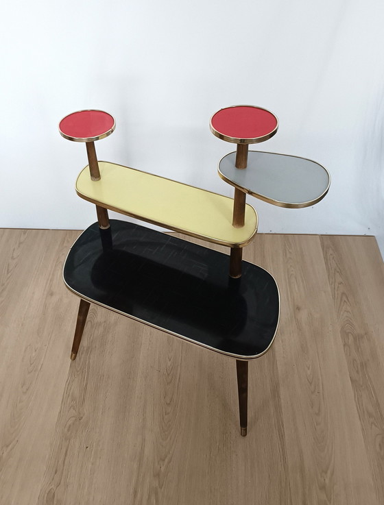 Image 1 of Table à plantes multicolore des années 50