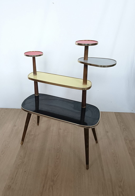 Table à plantes multicolore des années 50