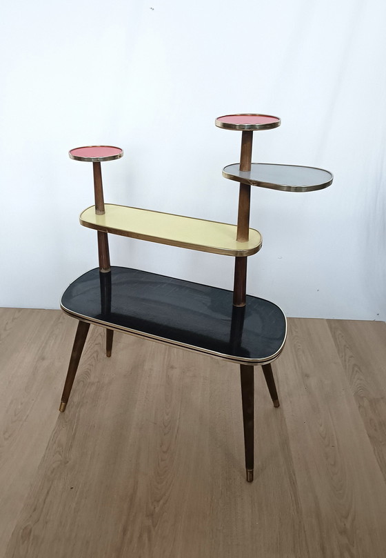 Image 1 of Table à plantes multicolore des années 50