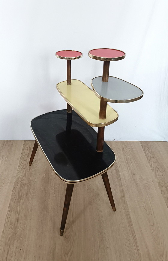 Image 1 of Table à plantes multicolore des années 50