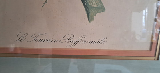 Image 1 of Gravure d'Auguste Pinxt, 1950S