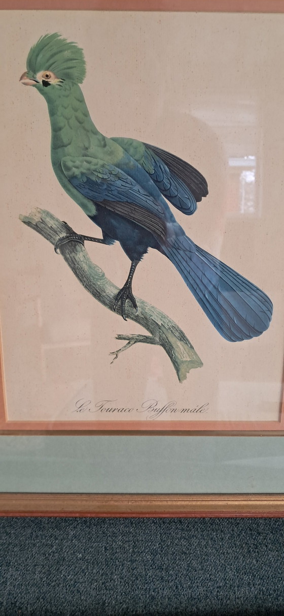 Image 1 of Gravure d'Auguste Pinxt, 1950S