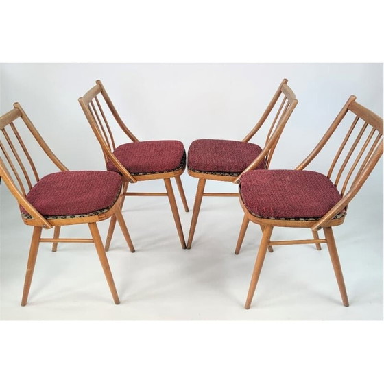 Image 1 of Ensemble de 4 chaises vintage par Tatra, Tchécoslovaquie 1970