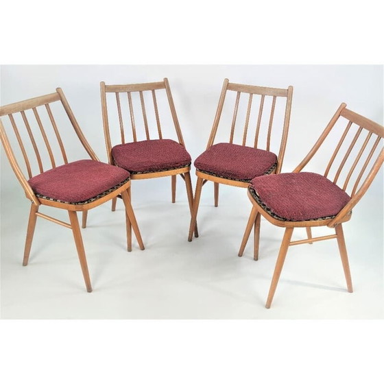 Image 1 of Ensemble de 4 chaises vintage par Tatra, Tchécoslovaquie 1970