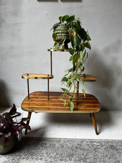 Table à plantes Etagiere 60s Bois avec détails dorés sur pieds élancés