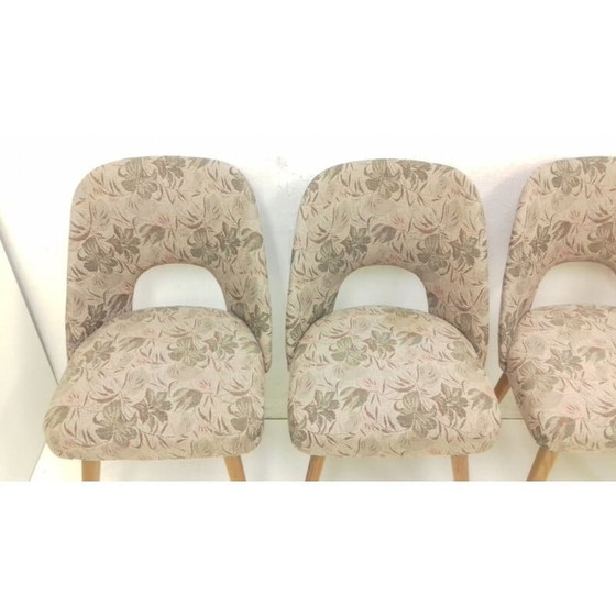 Image 1 of Ensemble de 4 chaises vintage en bois de hêtre par Oswald Haerdtl, Tchécoslovaquie 1950