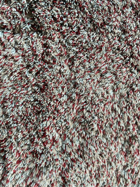 Image 1 of Millenpoort Carpet / Rug