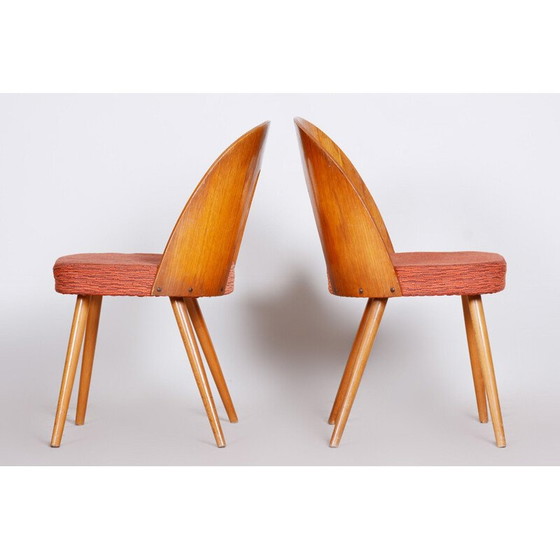 Image 1 of Paire de chaises du milieu du siècle d'Antonín Šuman, années 1950