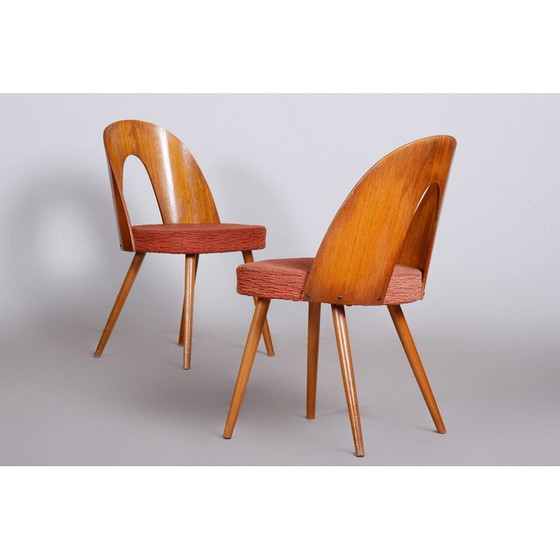 Image 1 of Paire de chaises du milieu du siècle d'Antonín Šuman, années 1950