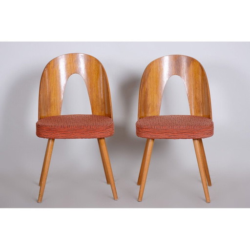 Paire de chaises du milieu du siècle d'Antonín Šuman, années 1950
