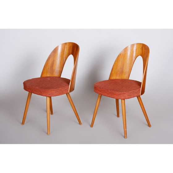 Image 1 of Paire de chaises du milieu du siècle d'Antonín Šuman, années 1950