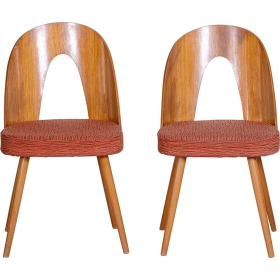 Image 1 of Paire de chaises du milieu du siècle d'Antonín Šuman, années 1950