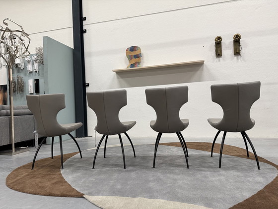 Image 1 of 4 Leolux Callas Dining Chair Senso Mist Leather