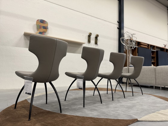 Image 1 of 4 Leolux Callas Dining Chair Senso Mist Leather