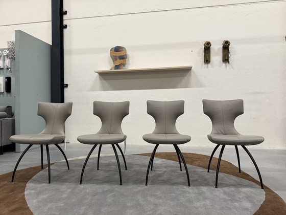 Image 1 of 4 Leolux Callas Dining Chair Senso Mist Leather