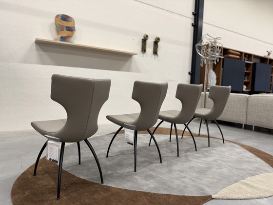 Image 1 of 4 Leolux Callas Dining Chair Senso Mist Leather