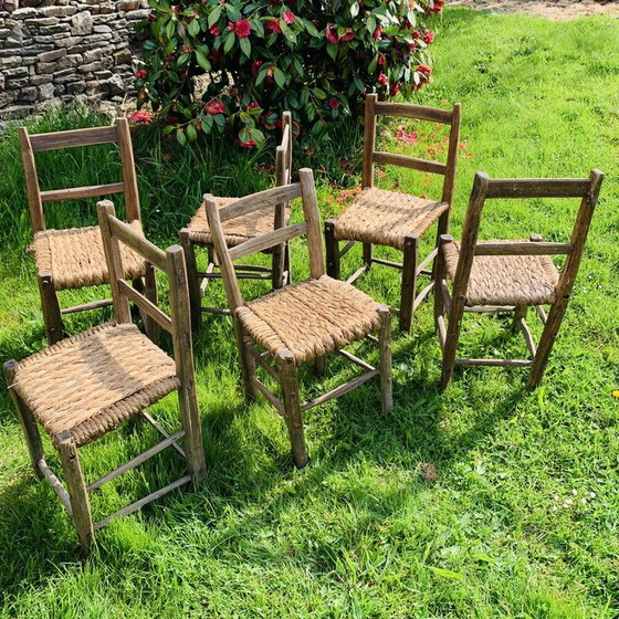 Image 1 of Ensemble de 6 chaises en paille vintage