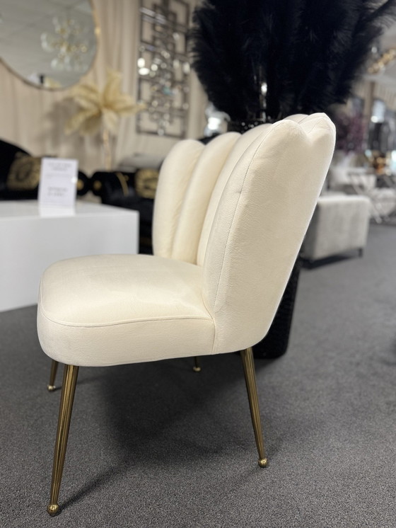 Image 1 of 4X Bologne (Atreve)